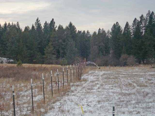 0 North Scotts Ridge Lane Chattaroy, WA 99003 - Photo 4 of 4