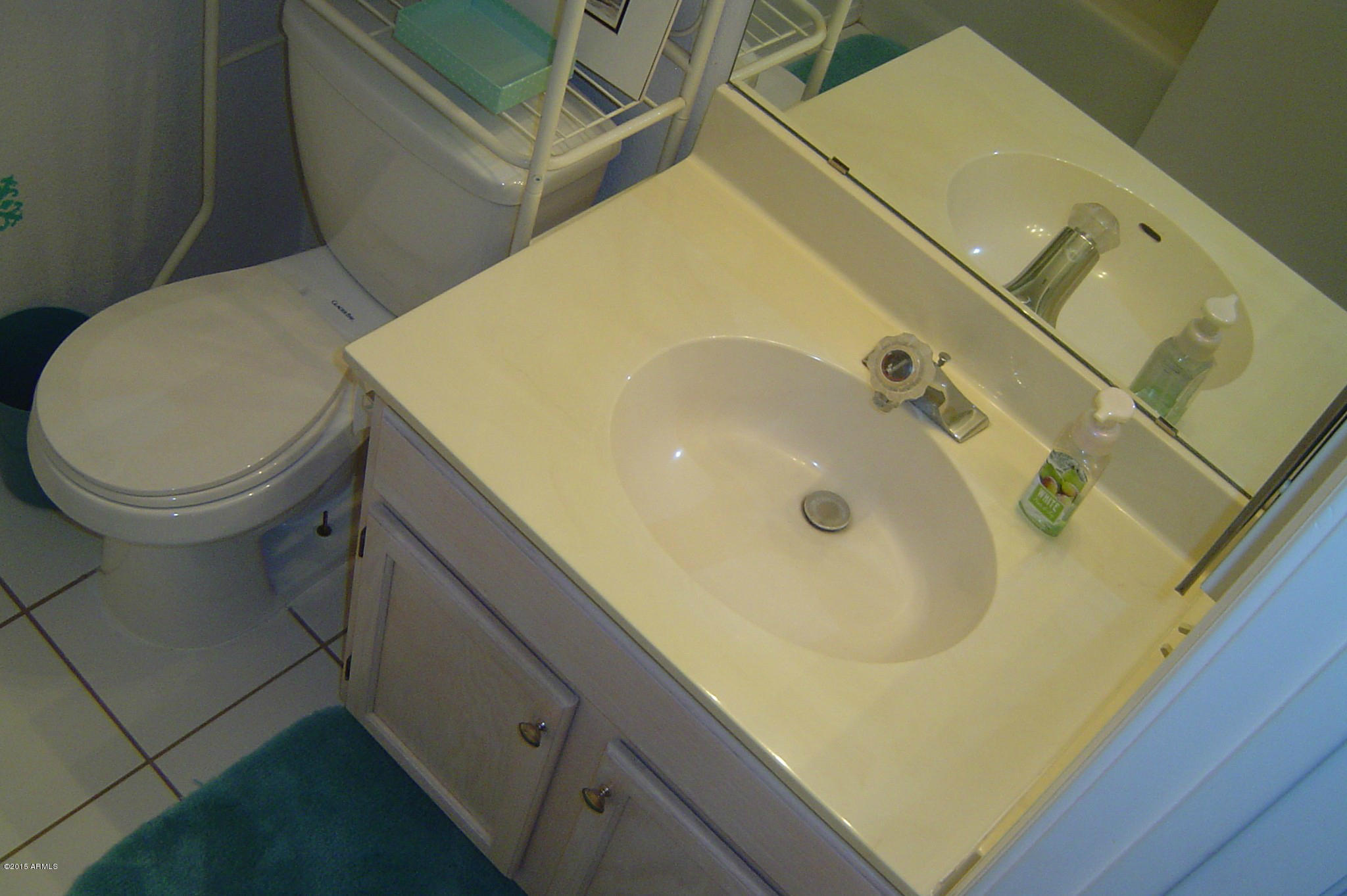 1842 East Riviera Drive Chandler, AZ 85249 - Photo 14 of 35 Guest Bathroom