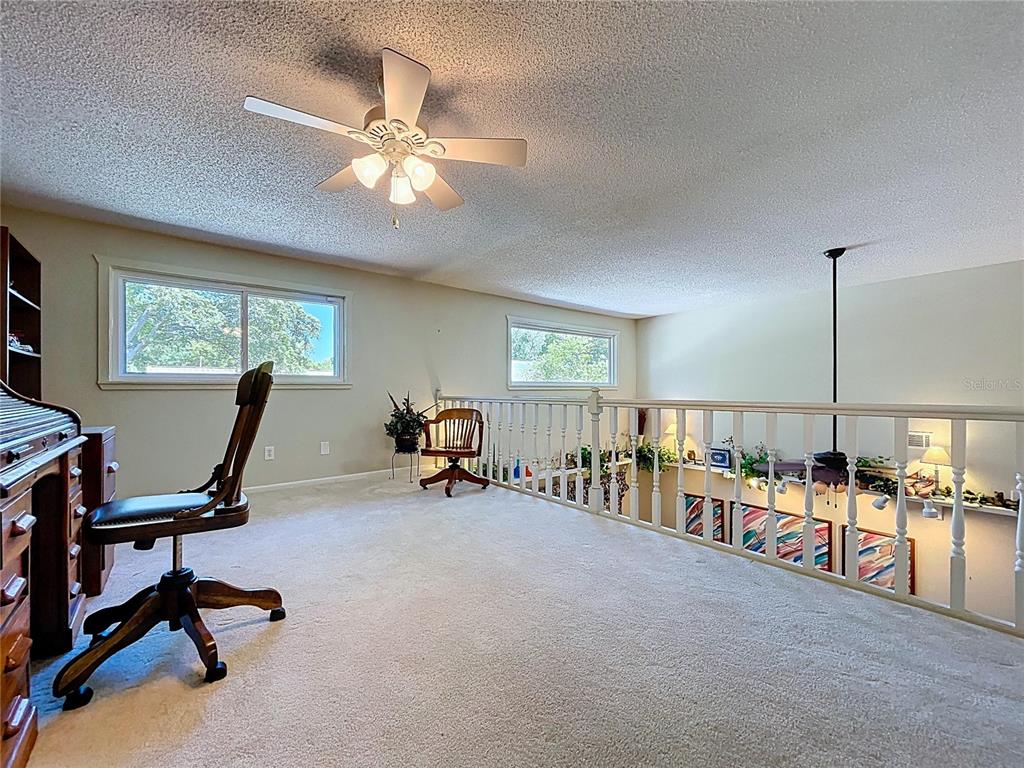 14711 Tall Tree Drive Lutz, FL 33559 - Photo 29 of 48