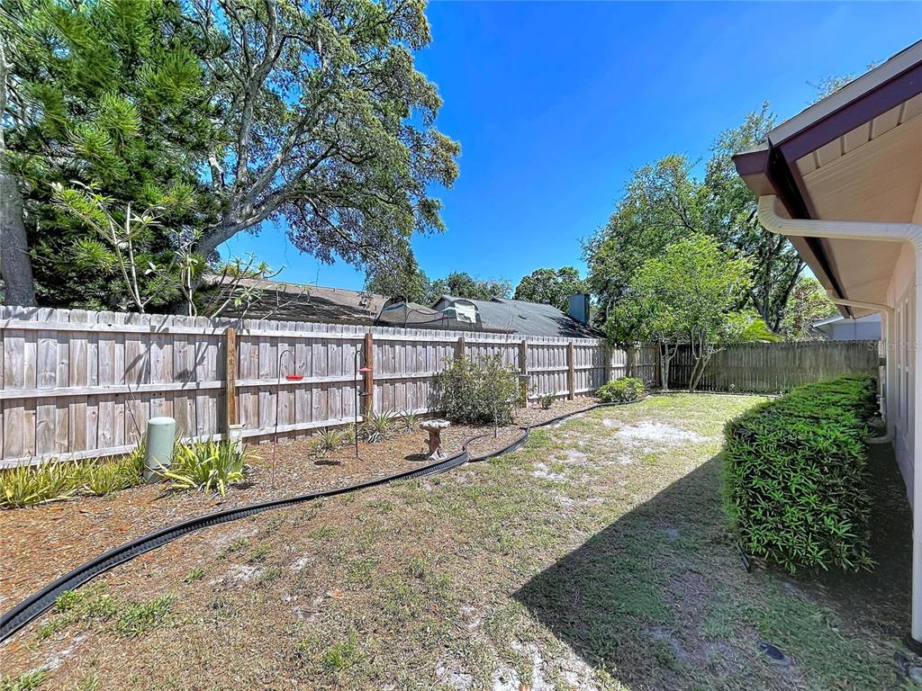 14711 Tall Tree Drive Lutz, FL 33559 - Photo 40 of 48