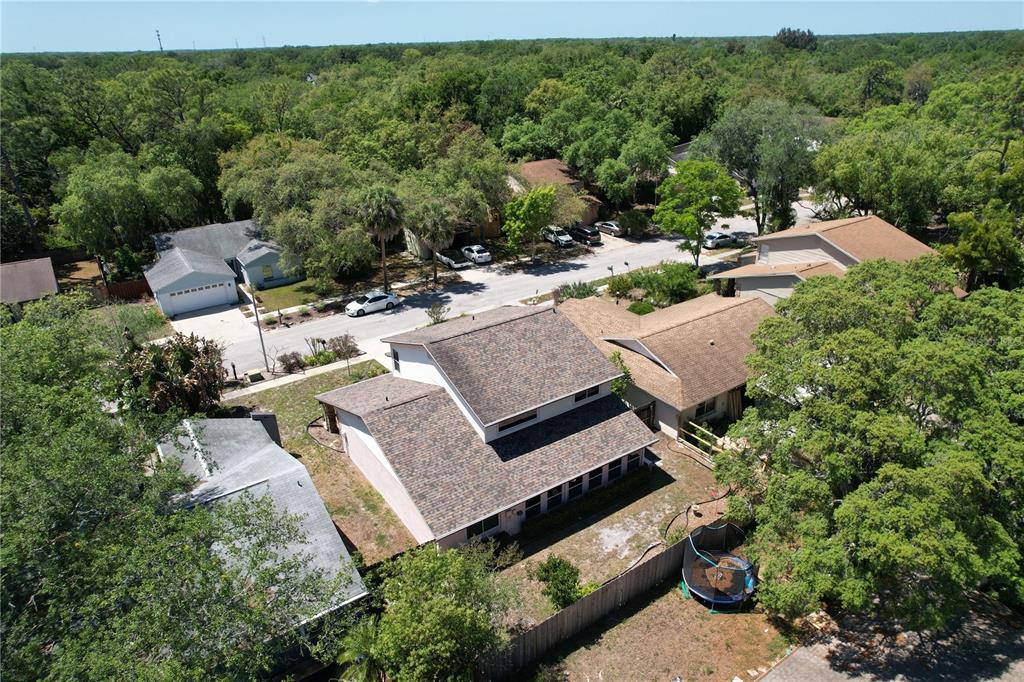 14711 Tall Tree Drive Lutz, FL 33559 - Photo 42 of 48