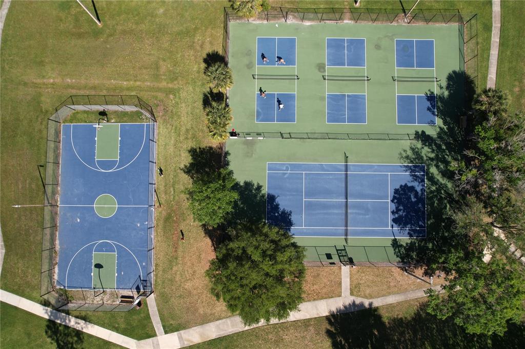 14711 Tall Tree Drive Lutz, FL 33559 - Photo 45 of 48
