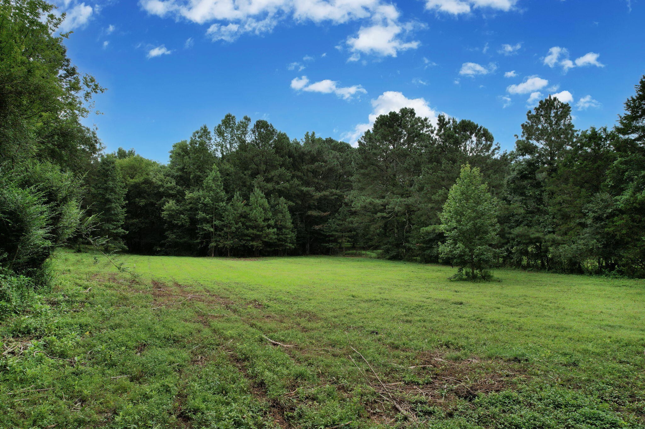1500 Durkee Road Southeast Cleveland, TN 37323 - Photo 12 of 26
