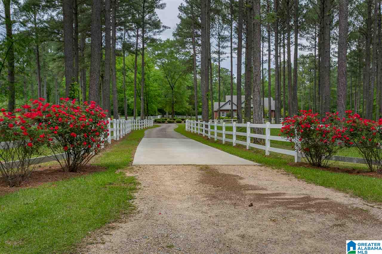 1239 Alex Mill Road Montevallo, AL 35115 - Photo 46 of 50