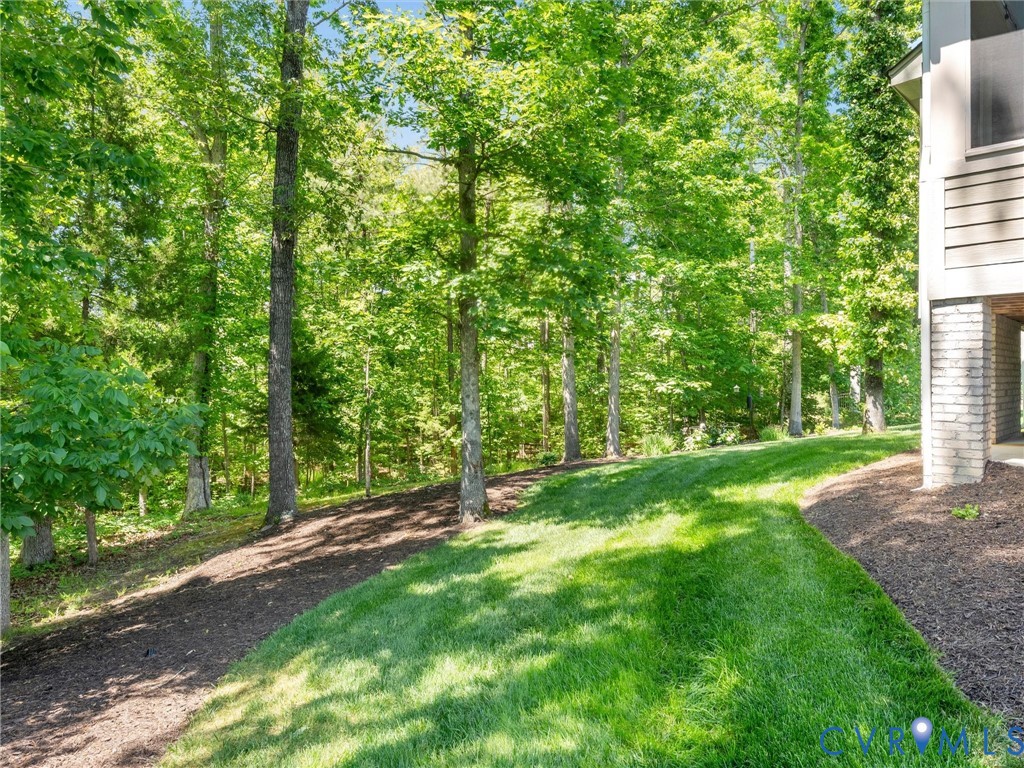 16131 Binley Road Midlothian, VA 23112 - Photo 89 of 99 a view of a backyard with a trees