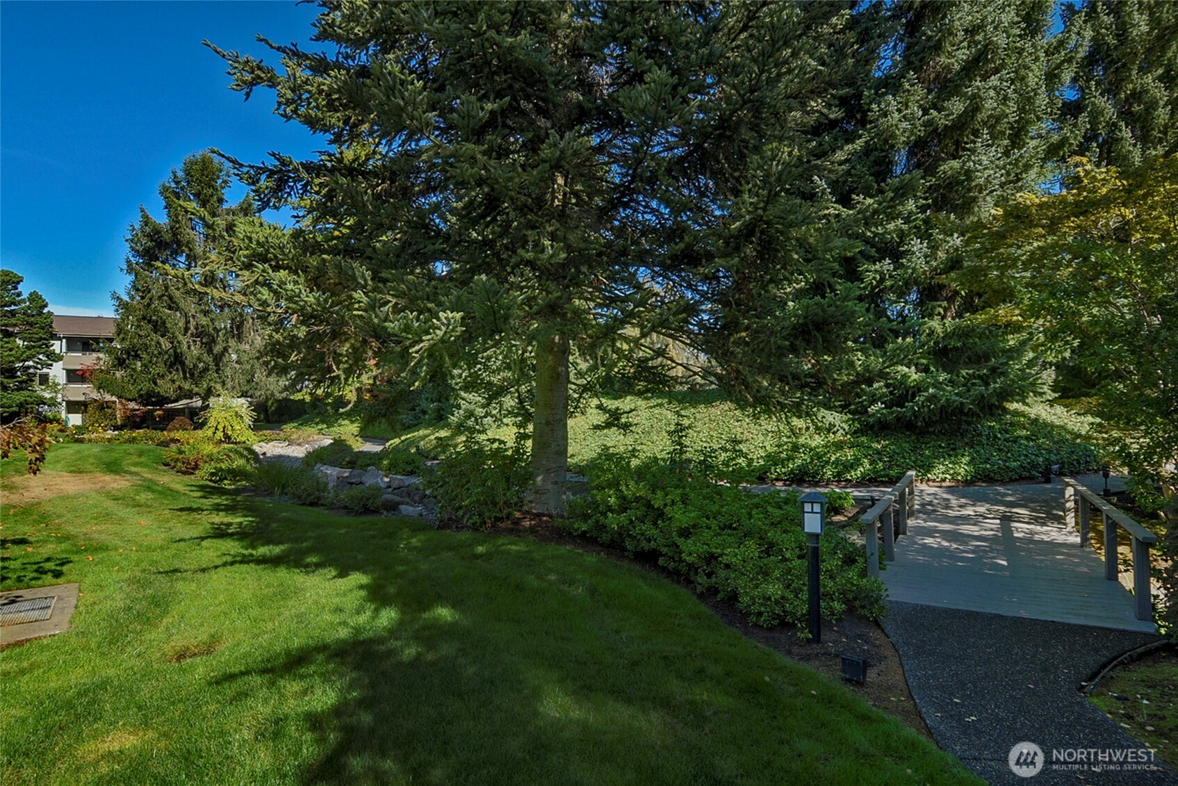 6648 Park Point Way Northeast, Unit D111 Seattle, WA 98115 - Photo 4 of 31