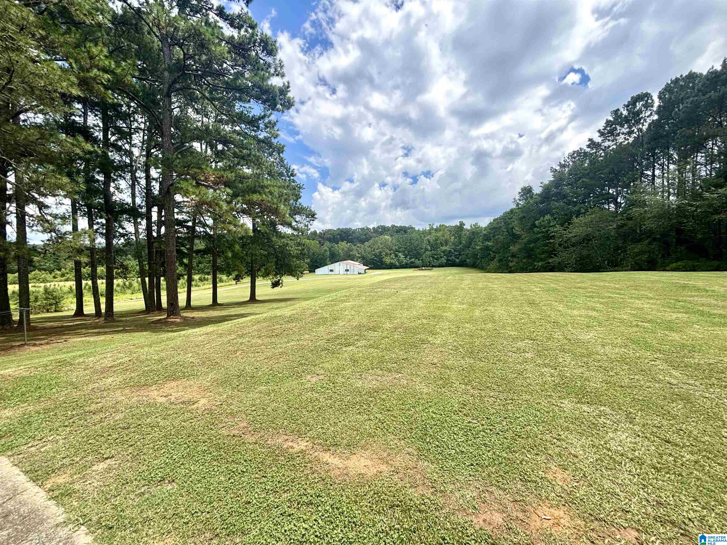 1120 Valley Road Oneonta, AL 35121 - Photo 15 of 32 Gallery Image 15