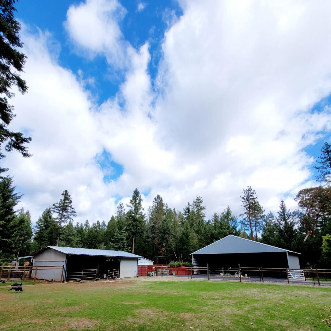 1283 Powell Creek Road Williams, OR 97544 - Photo 7 of 50 1283PowellCreekRd_18457_7