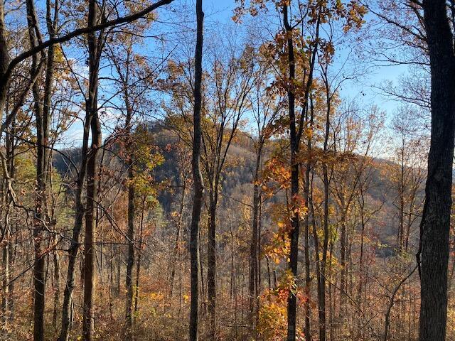 0 East Fork Road Laurelville, OH 43135 - Photo 16 of 16 IMG_0290