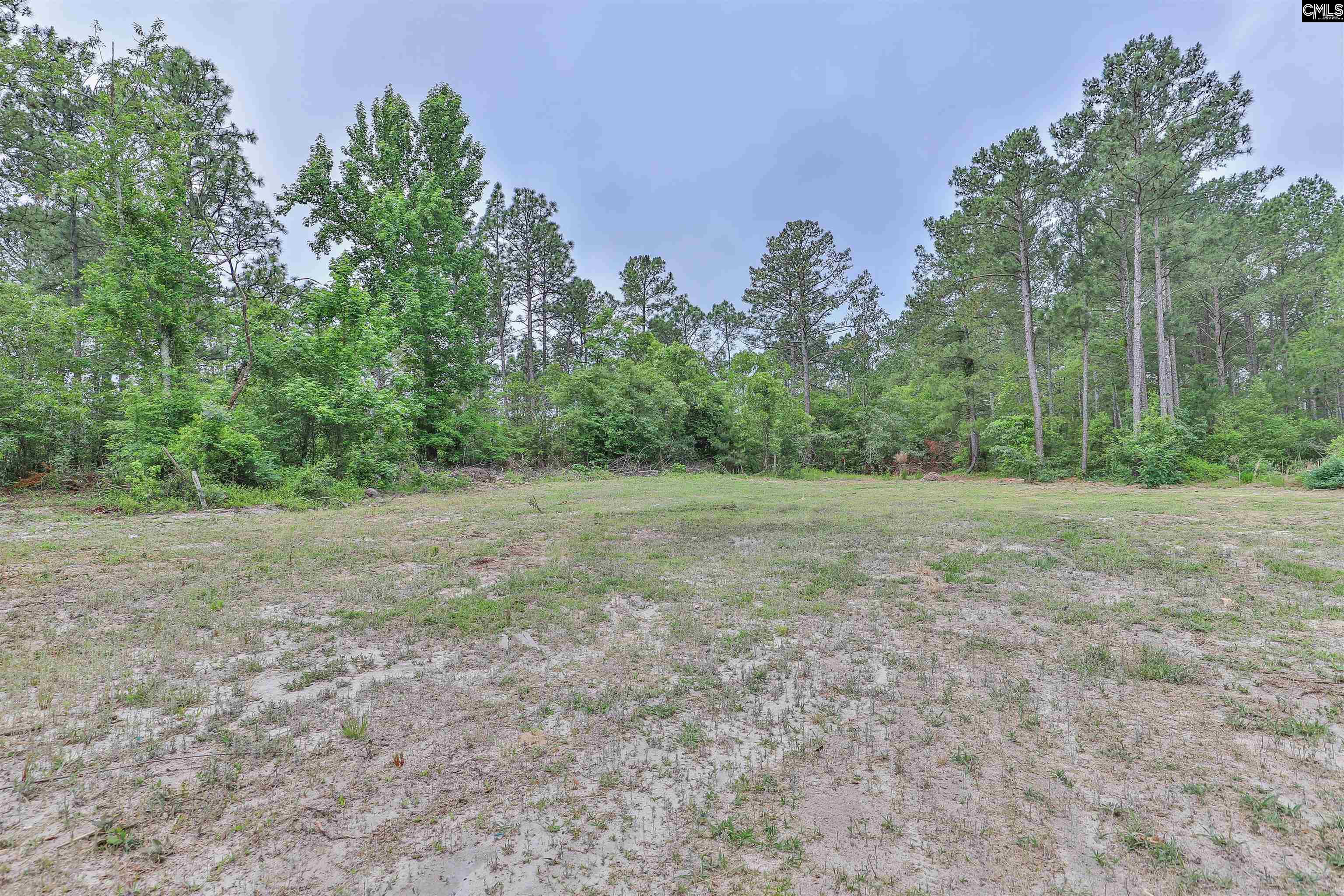 3209 Old Charleston Road Gilbert, SC 29054 - Photo 43 of 50