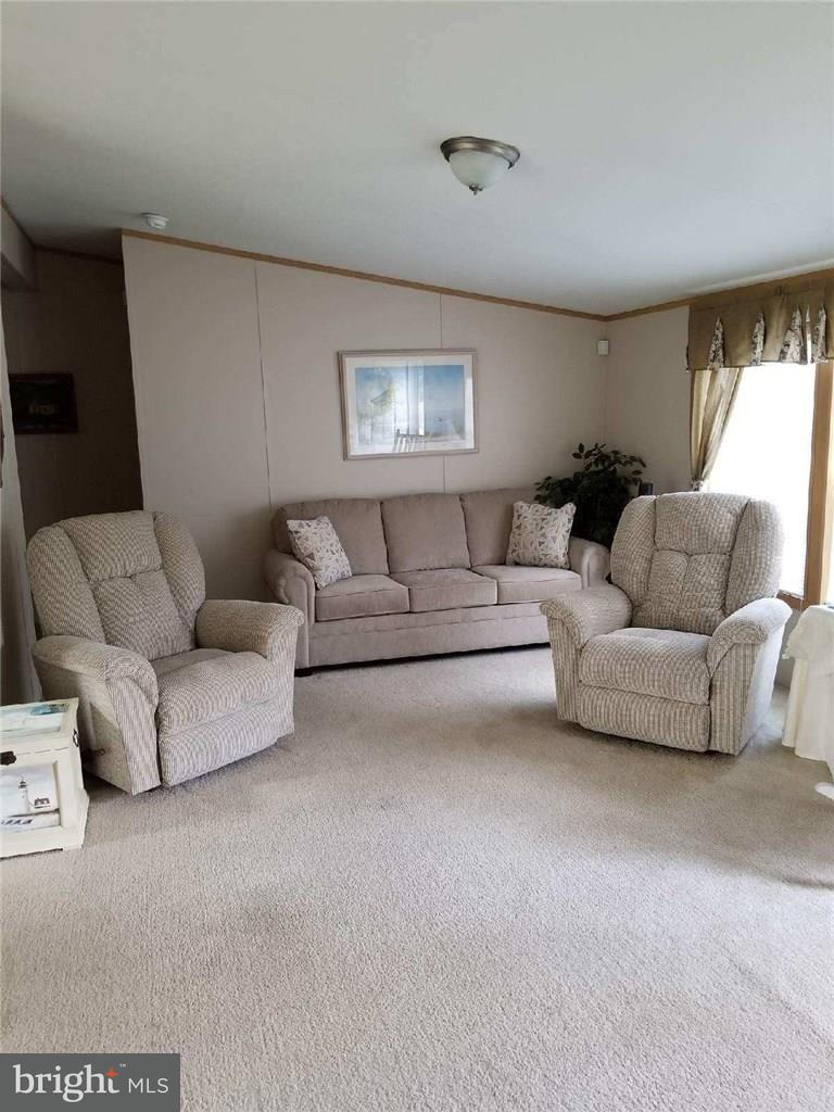 18624 Cool Spring Road Milton, DE 19968 - Photo 12 of 47 Living Room