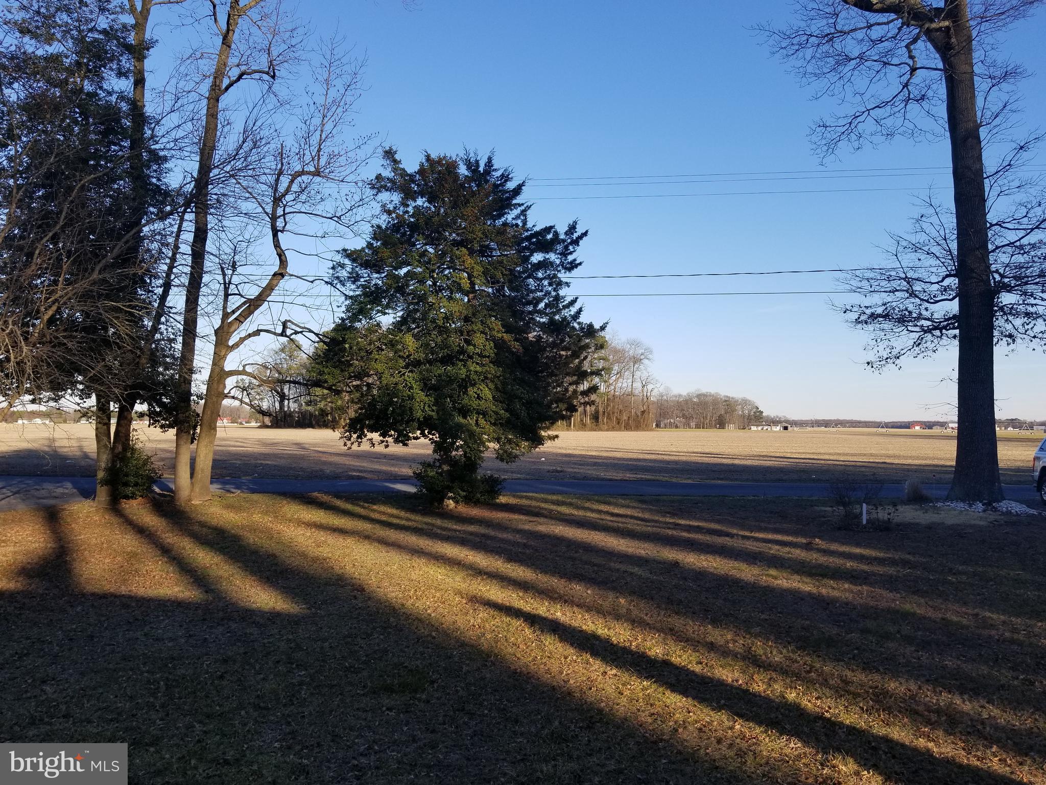18624 Cool Spring Road Milton, DE 19968 - Photo 29 of 47 View from front of home