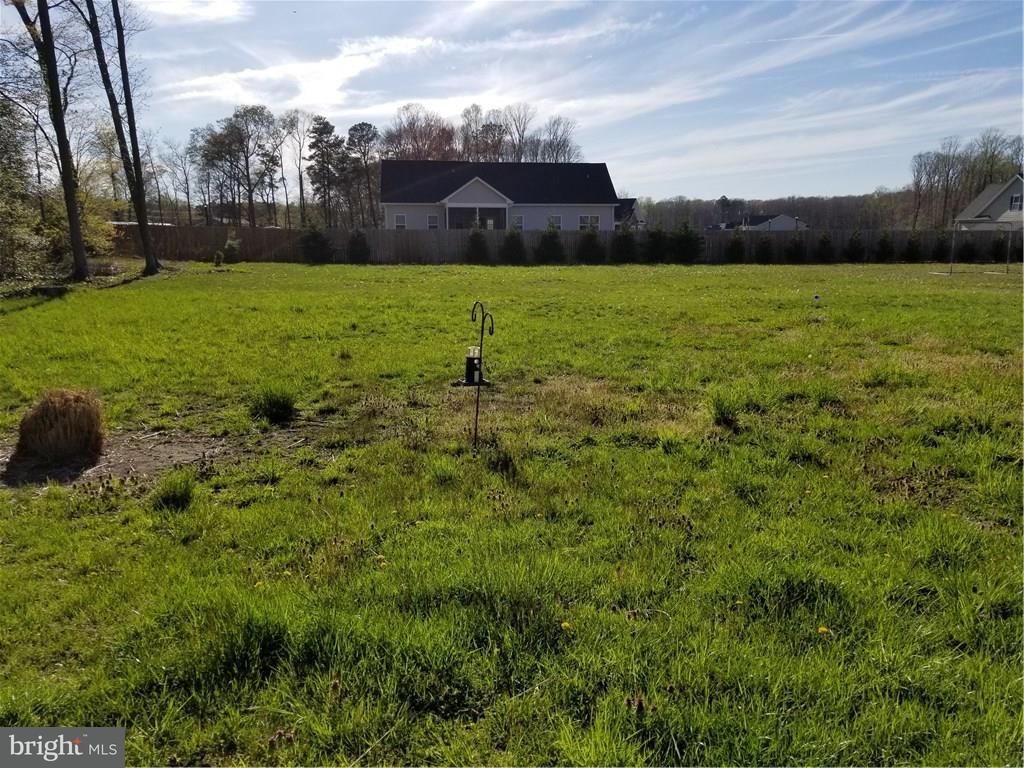 18624 Cool Spring Road Milton, DE 19968 - Photo 6 of 47 Backyard