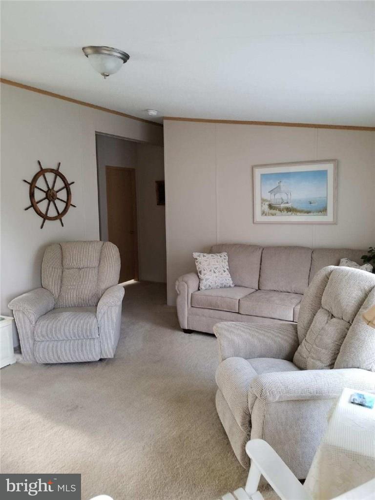 18624 Cool Spring Road Milton, DE 19968 - Photo 10 of 47 Living Room