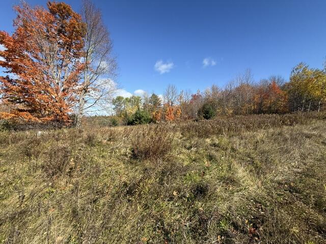 1556 Springfield Road Danforth, ME 04424 - Photo 9 of 14 IMG_0546