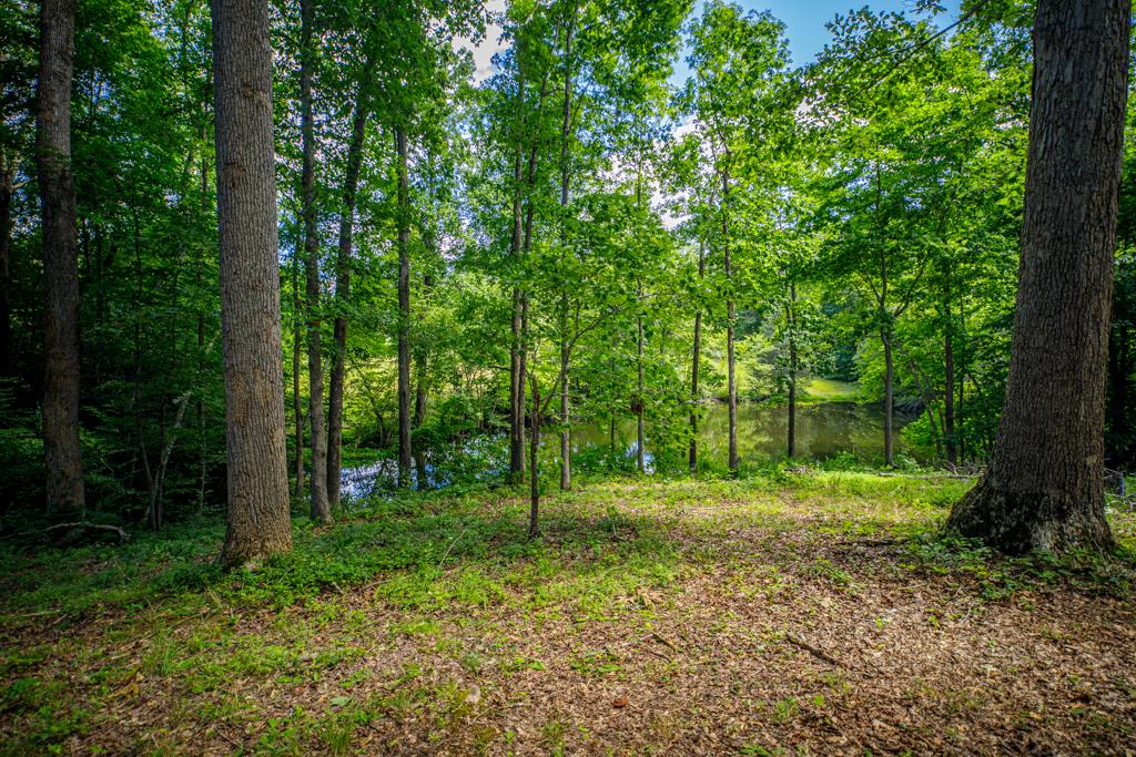 1067 Hinkle Road Kenbridge, VA 23944 - Photo 15 of 54 Gallery Image 15