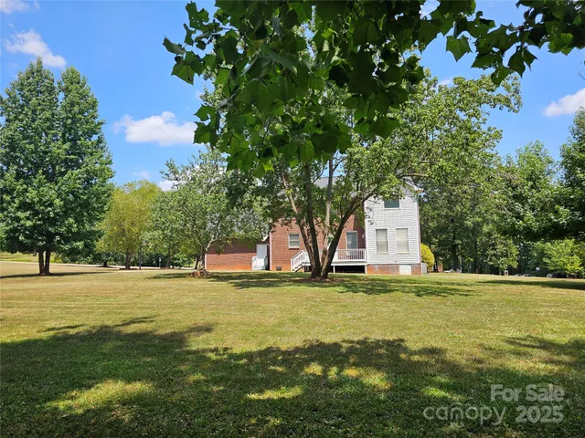 a view of a large trees with lots of bushes