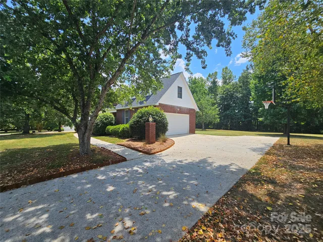 a view of a yard with plants and trees