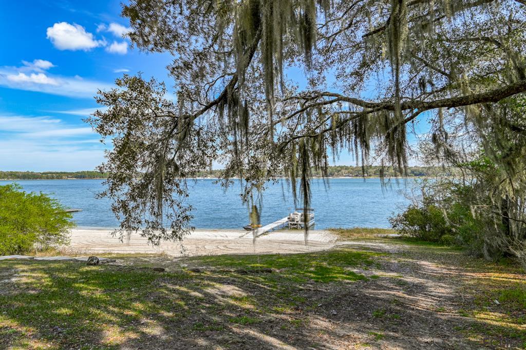 375-397 Southeast County Road Starke, FL 32091 - Photo 27 of 75 a view of a tree with yard