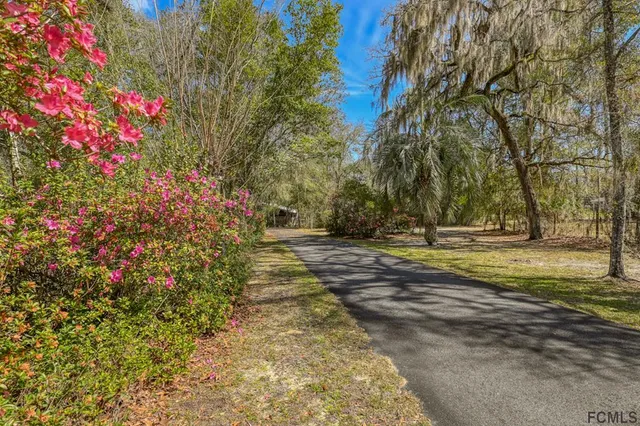a view of a yard with trees