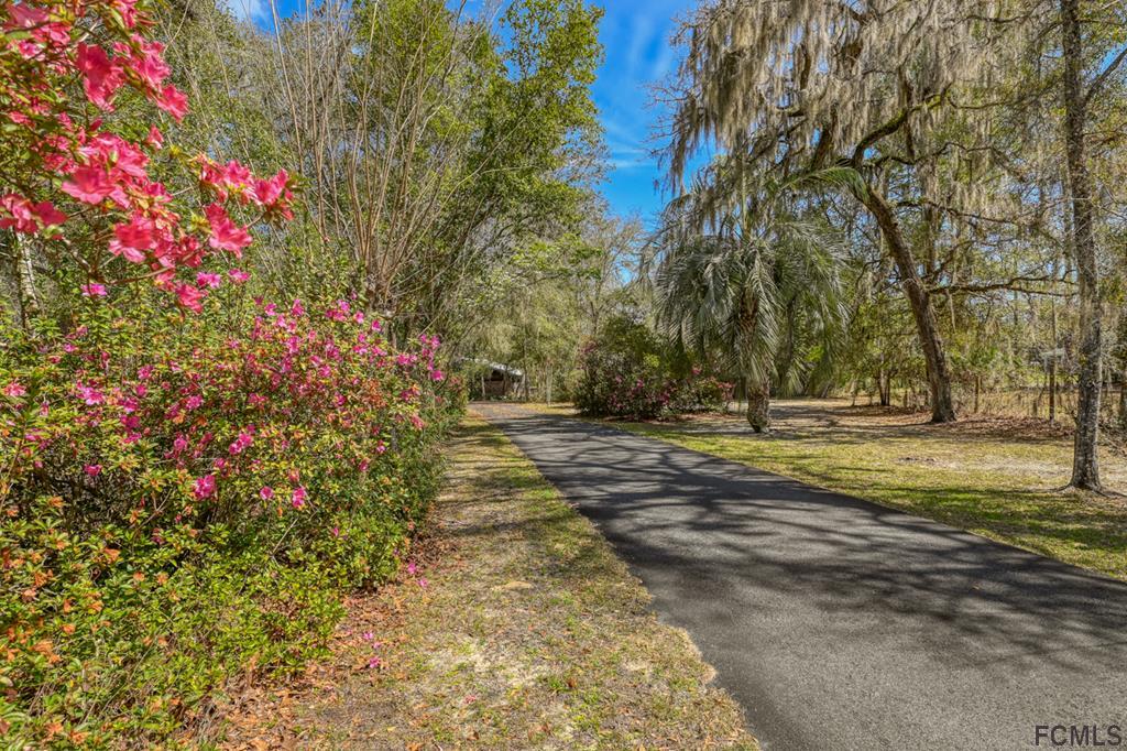 375-397 Southeast County Road Starke, FL 32091 - Photo 3 of 75 a view of yard with green space