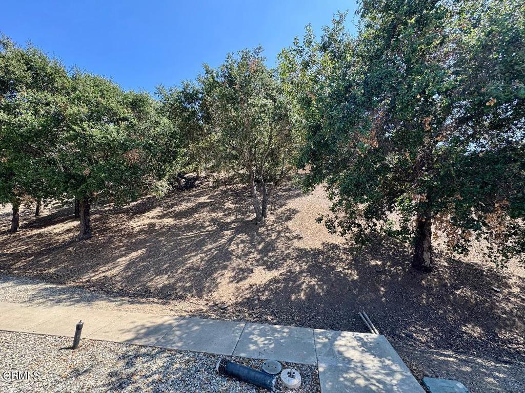 2742 Borchard Road Newbury Park, CA 91320 - Photo 49 of 51 a view of a yard with trees