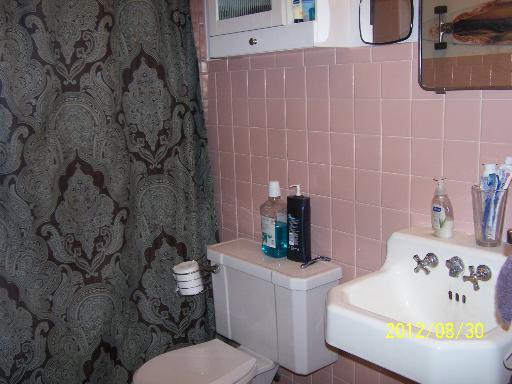 668 Morgan Street Elgin, IL 60123 - Photo 7 of 8