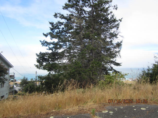 88 Shaker Road Shelter Cove, CA 95589 - Photo 3 of 27 IMG_9676