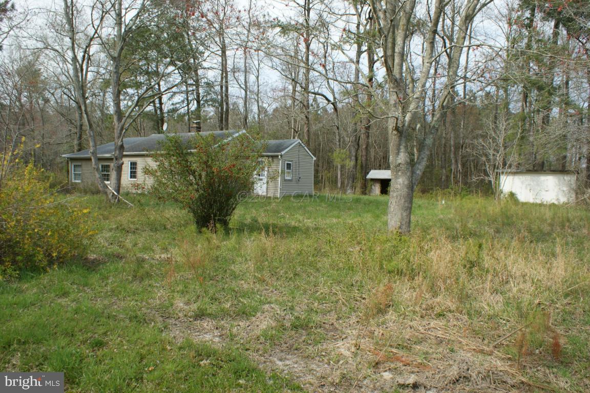 8517 Cedar Lane Road Berlin, MD 21811 - Photo 3 of 6