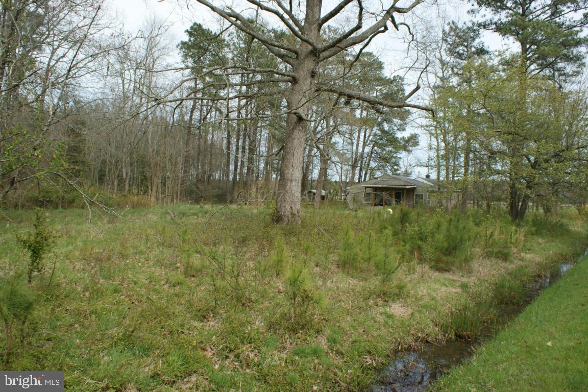 8517 Cedar Lane Road Berlin, MD 21811 - Photo 5 of 6 a backyard of a house with lots of green space and lake view