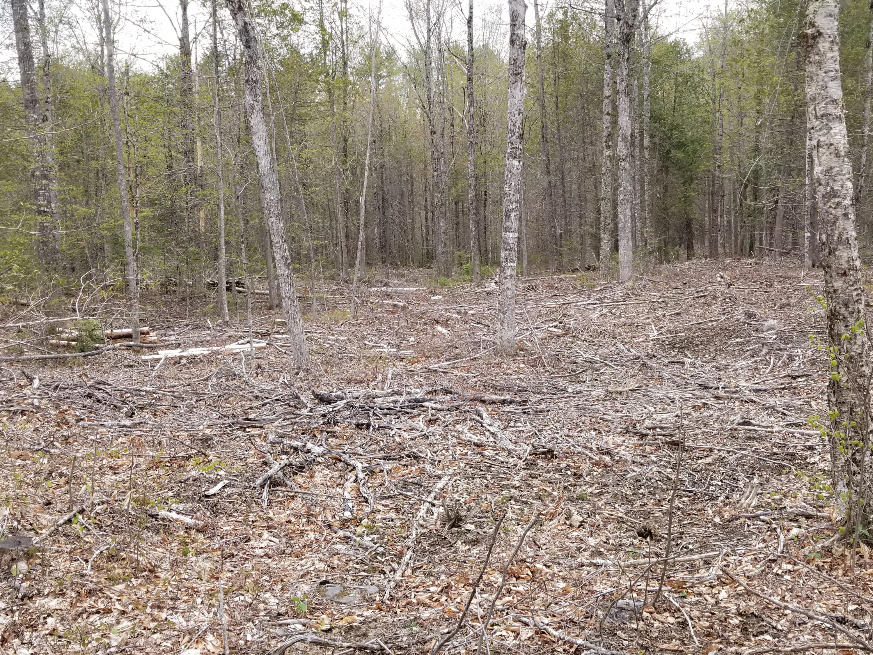 Tbd Kimball Hill Road Jackson, ME 04921 - Photo 10 of 13 20210506_142834