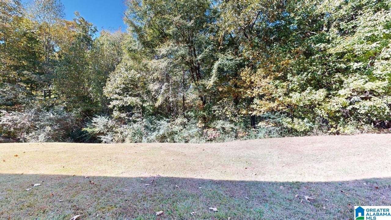 6214 Canterbury Road Pinson, AL 35126 - Photo 4 of 26