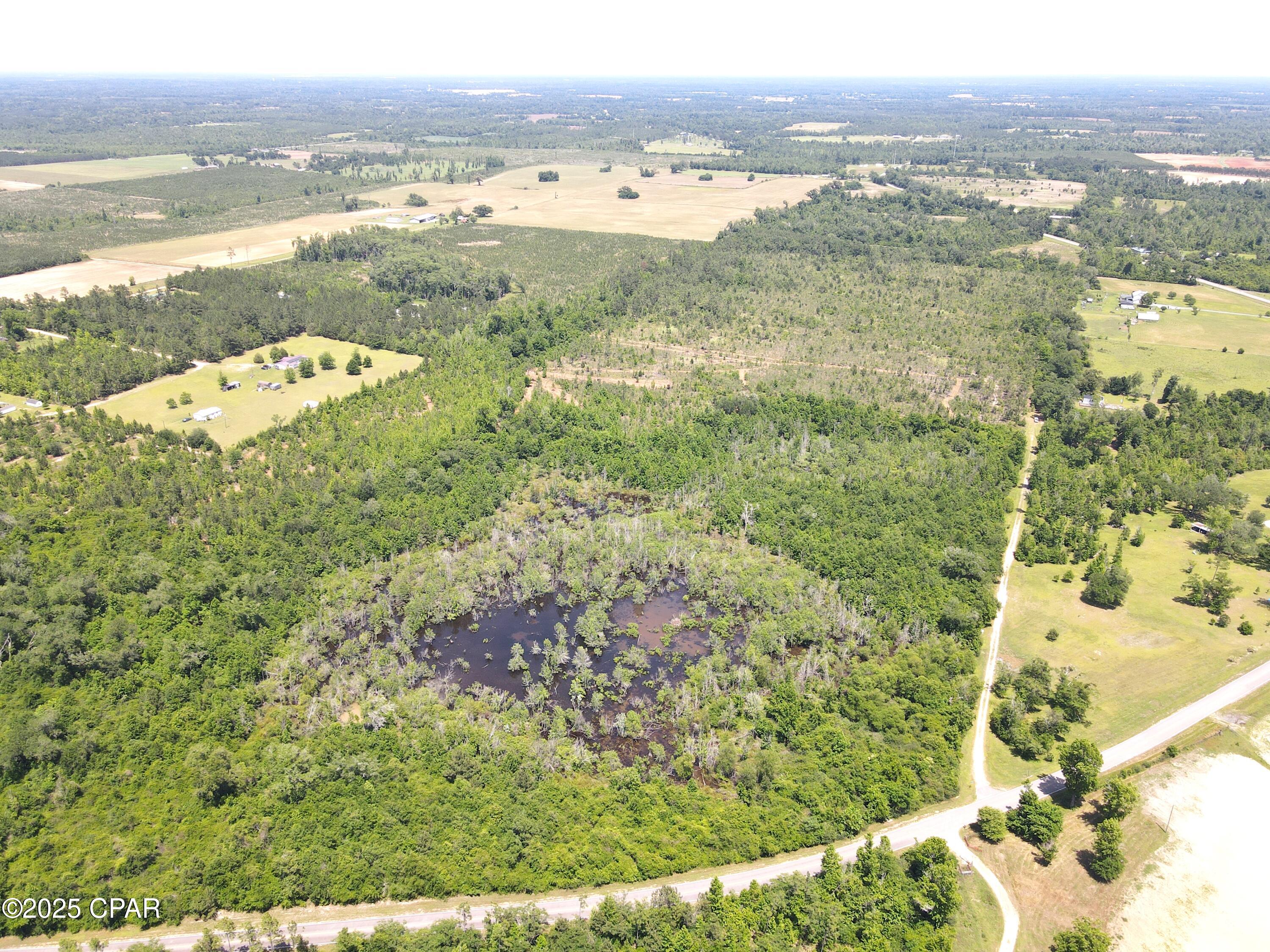 0 Bethlehem Road Cottondale, FL 32431 - Photo 2 of 28