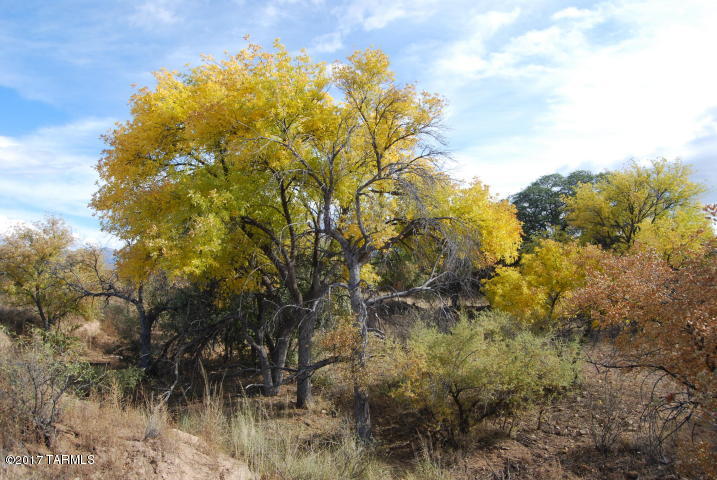18.8 South Price Ranch Road Pearce, AZ 85625 - Photo 7 of 20
