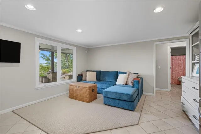 a view of a big yard with plants and a large tree