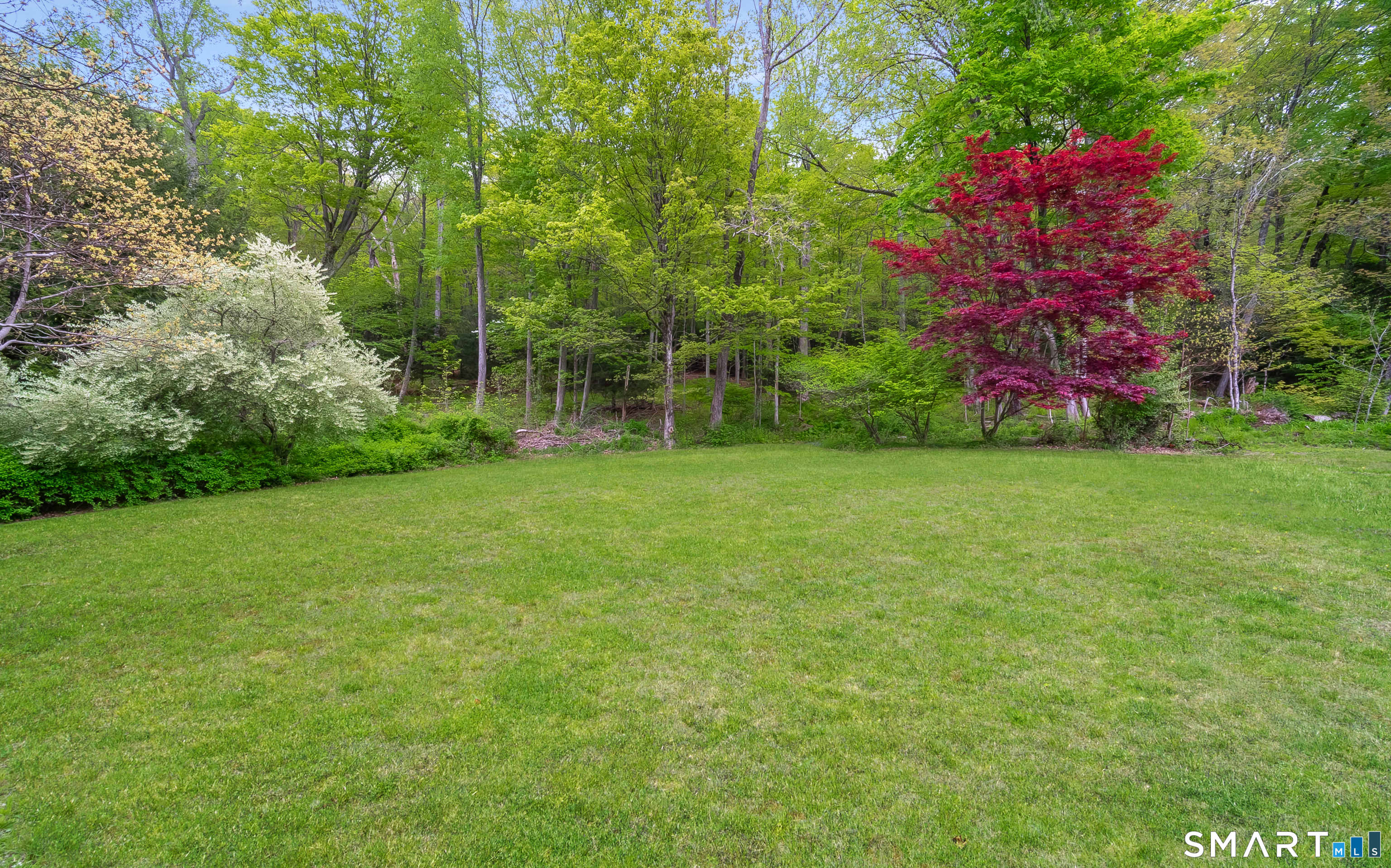 230 Killingworth Road Haddam, CT 06441 - Photo 29 of 36 a view of a field with plants and trees