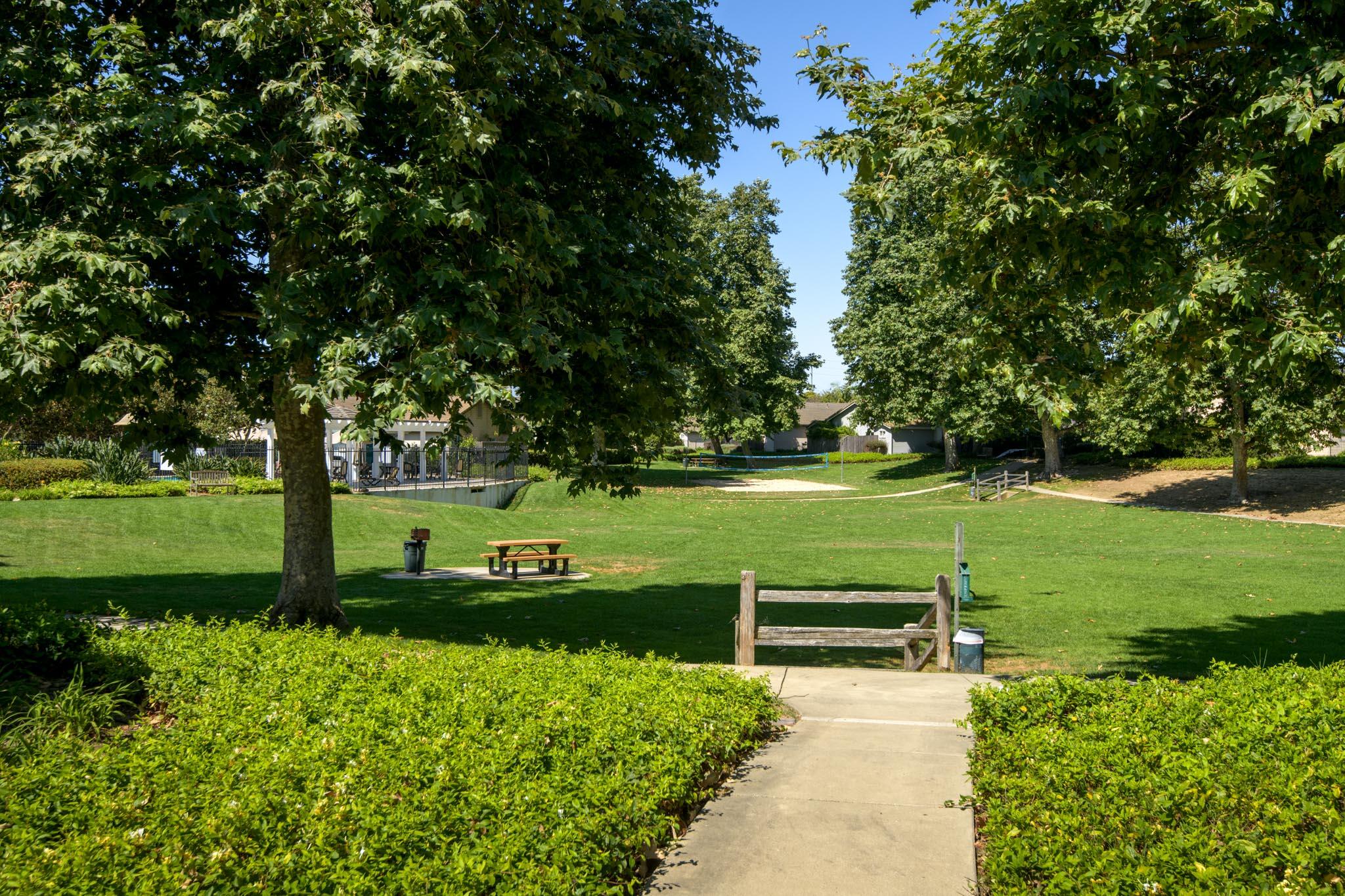 128 Gerard Drive Goleta, CA 93117 - Photo 15 of 20 a view of a park with large trees