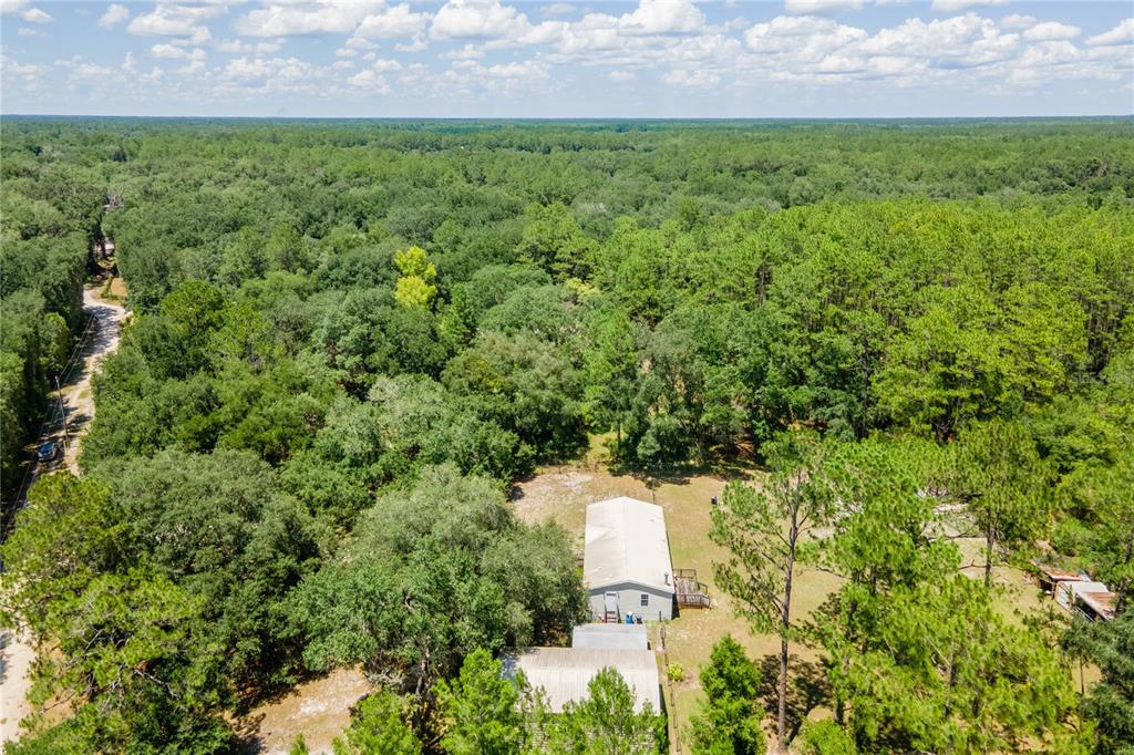 7392 Northeast 192nd Place Citra, FL 32113 - Photo 43 of 46