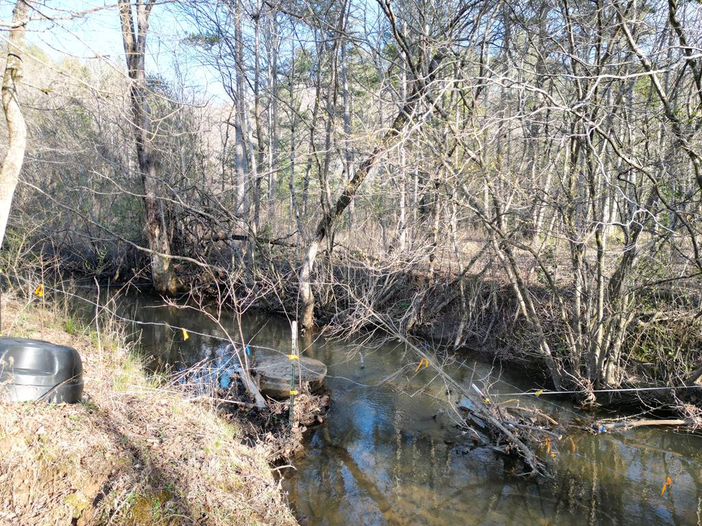 133 Johnsonville Road Murphy, NC 28906 - Photo 15 of 18 Gallery Image 15