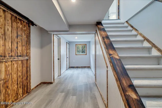 a view of a garden with plants