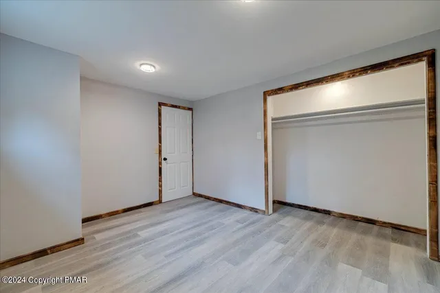 a view of a garden with plants