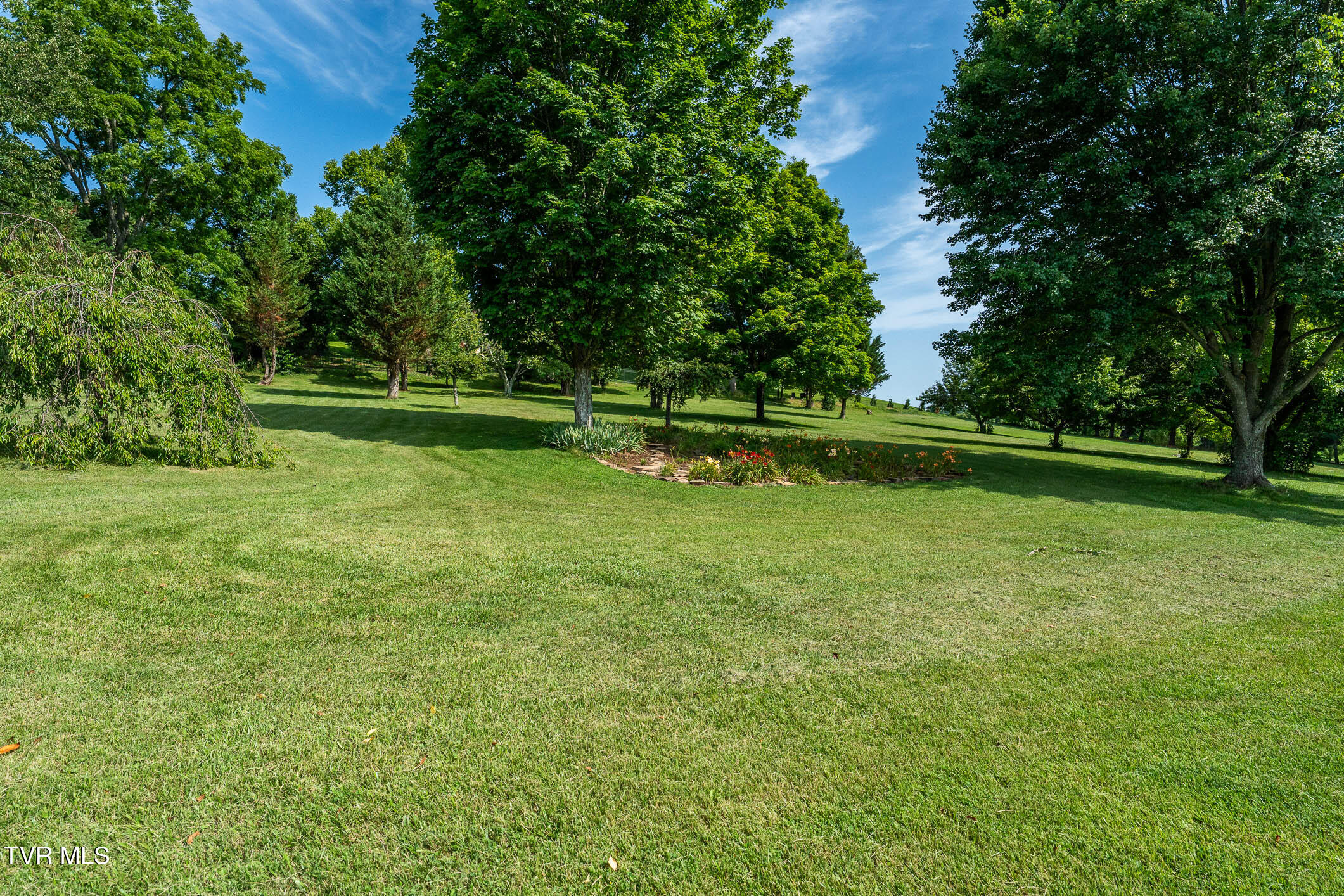 2743 Carroll Creek Road Gray, TN 37615 - Photo 53 of 92 2743 Carroll Creek Rd (52 of 98)