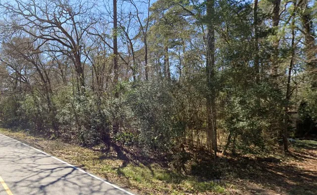 a view of a yard with plants and trees
