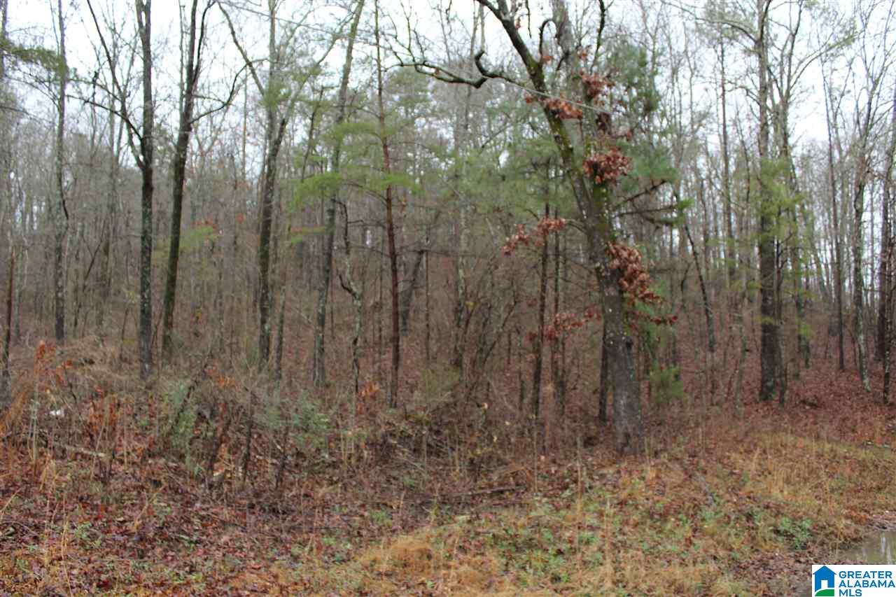 0 Fitzgerald Road Oxford, AL 36203 - Photo 39 of 44
