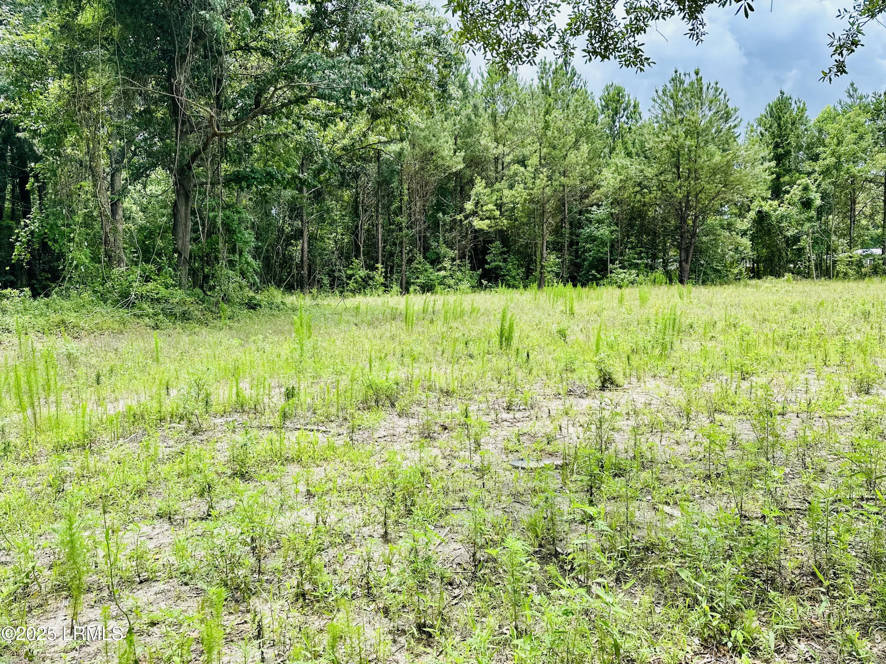 59 Seabrook Center Road Seabrook, SC 29940 - Photo 2 of 3 IMG_2020