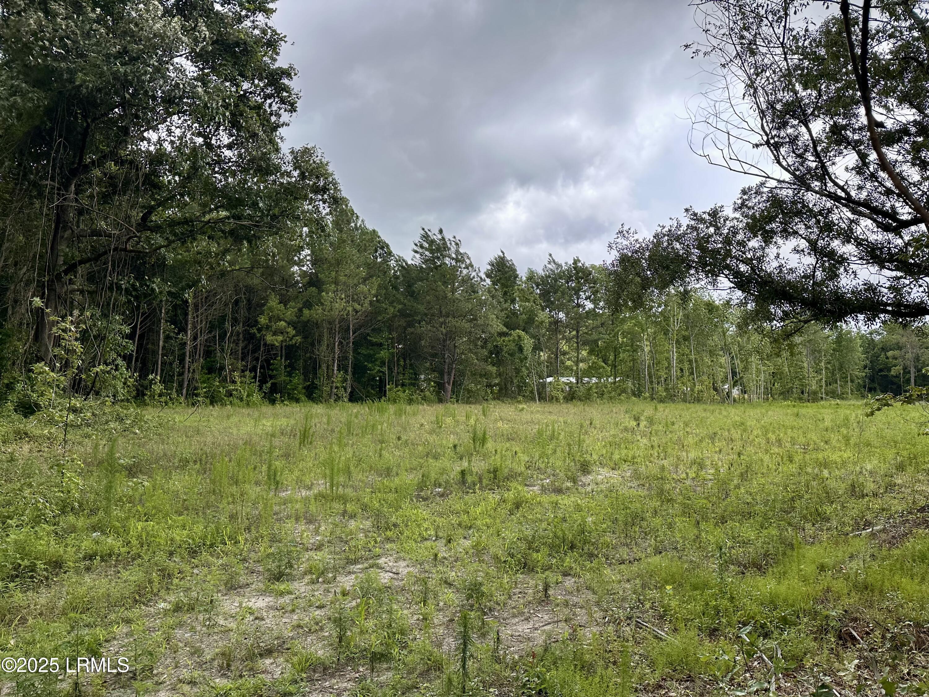 59 Seabrook Center Road Seabrook, SC 29940 - Photo 5 of 7 IMG_2012