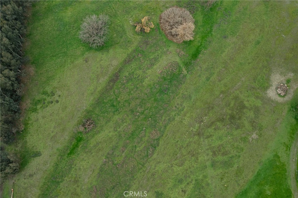 4712 County Road East Orland, CA 95963 - Photo 7 of 9 close up - dry creek area