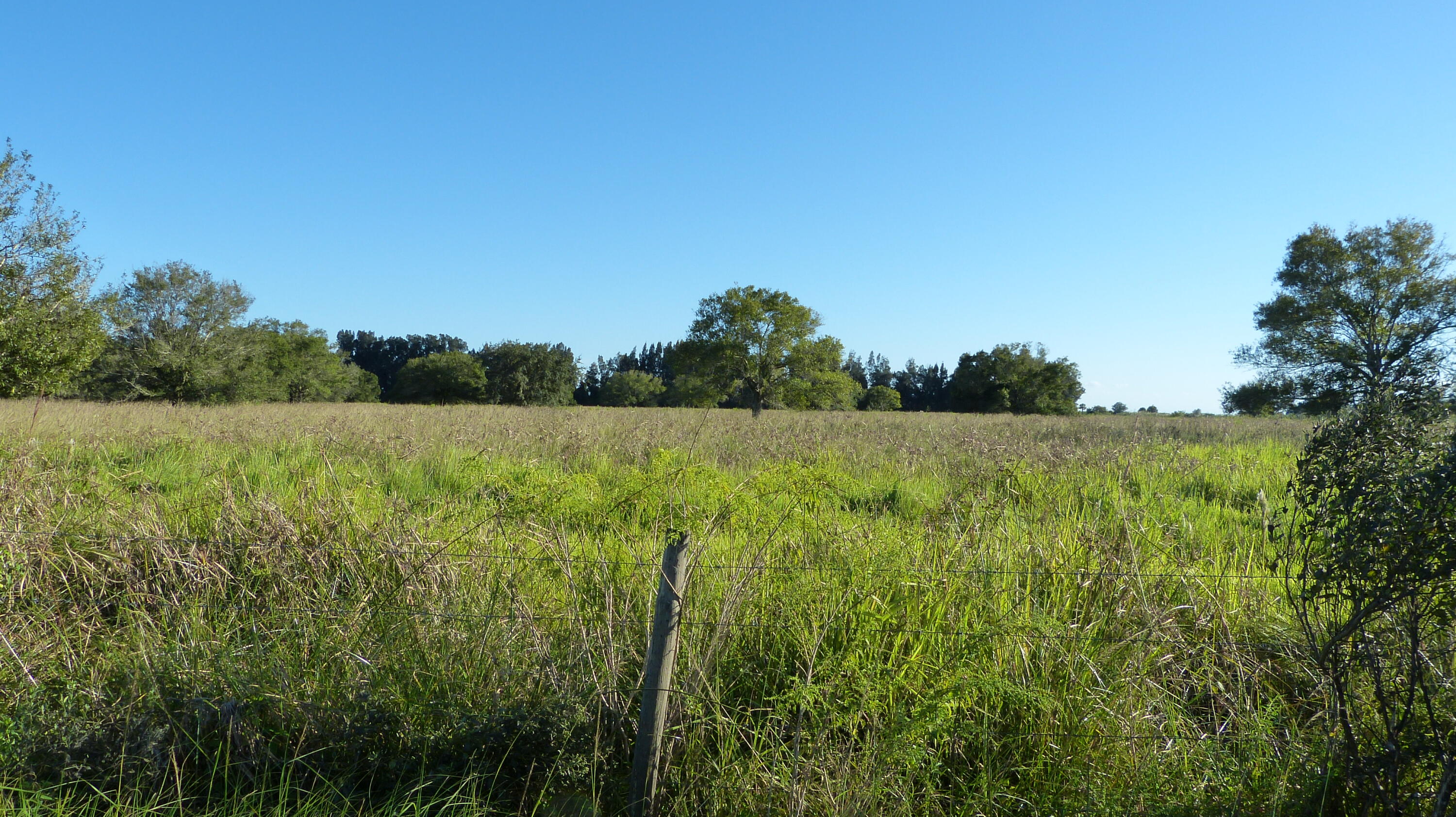 Tbd Pineapple Lane Fort Pierce, FL 34945 - Photo 2 of 3 a view of a field with an ocean view