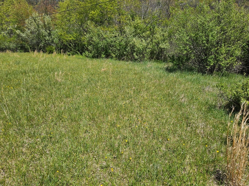 Tbd Spur Branch Road, Unit 3 Dublin, VA 24084 - Photo 5 of 13 Gallery Image 5