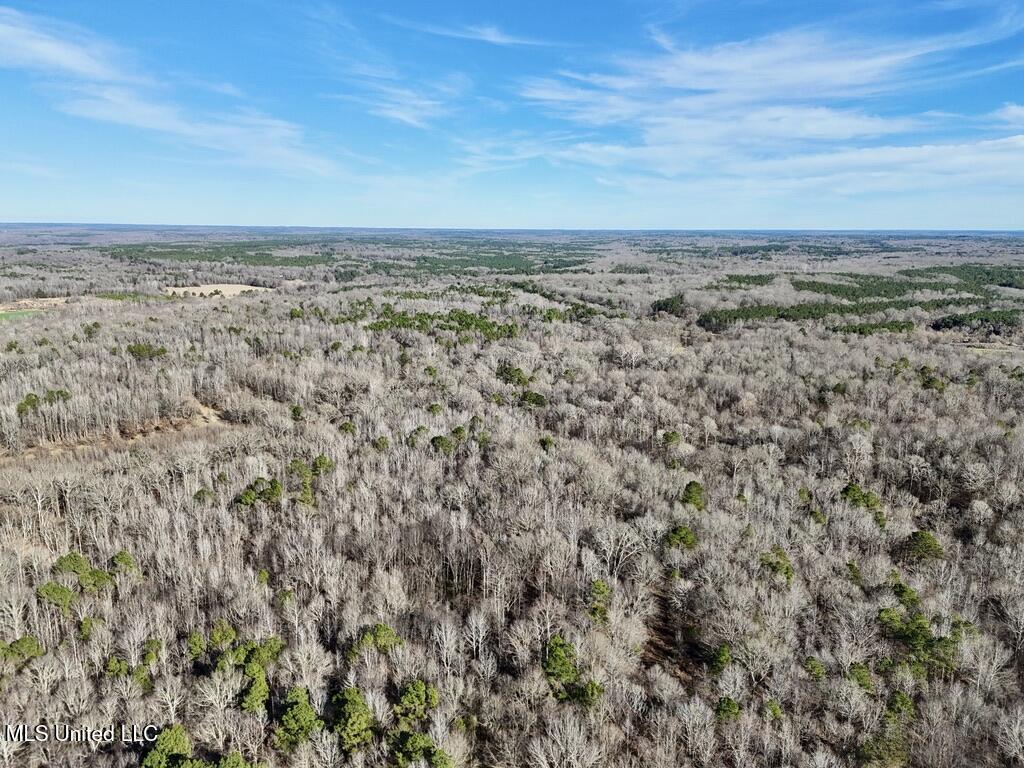 24437 Highway 17 Lexington, MS 39095 - Photo 11 of 58 3FEB3109-74B1-4D4D-99AC-56537AA143FC_1_1